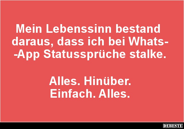 Mein Lebenssinn bestand daraus, dass ich bei WhatsApp Statussprüche stalke.. - Lustige Bilder | DEBESTE.de