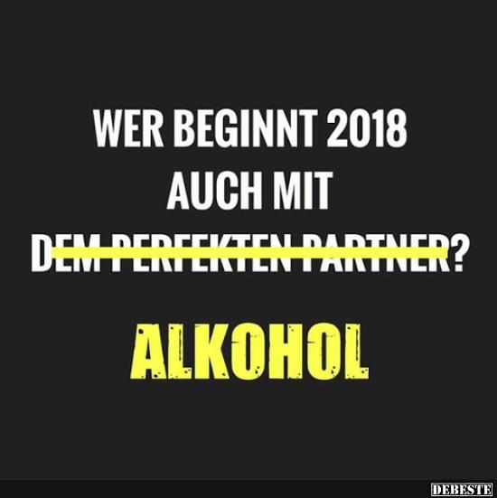 Wer beginnt 2018 auch mit dem perfekten Partner? - Lustige Bilder | DEBESTE.de