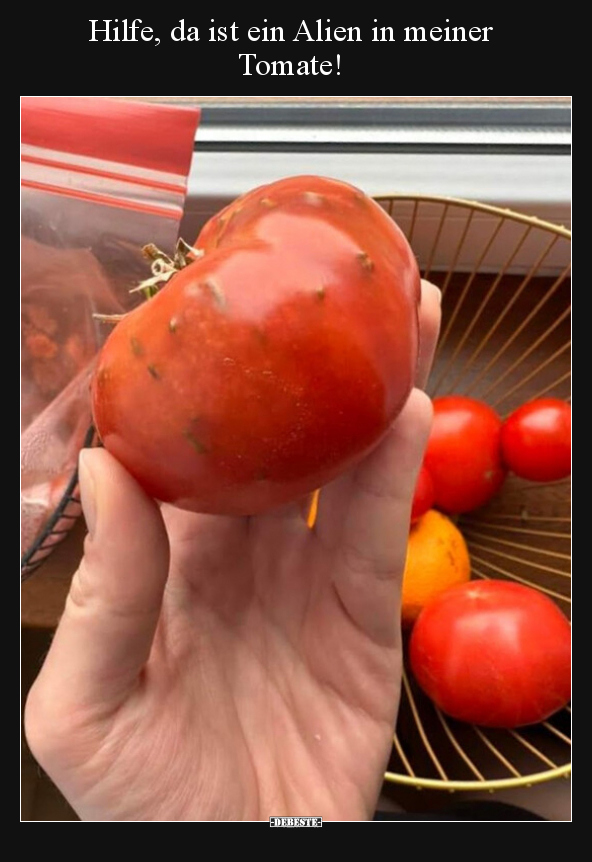 Hilfe, da ist ein Alien in meiner Tomate!.. - Lustige Bilder | DEBESTE.de