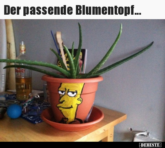 Der passende Blumentopf... - Lustige Bilder | DEBESTE.de