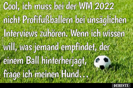 Cool, ich muss bei der WM 2022 nicht Profifußballern bei.. - Lustige Bilder | DEBESTE.de