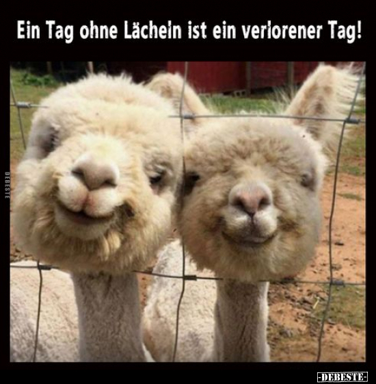 Ein Tag ohne Lächeln ist ein verlorener Tag!.. - Lustige Bilder | DEBESTE.de
