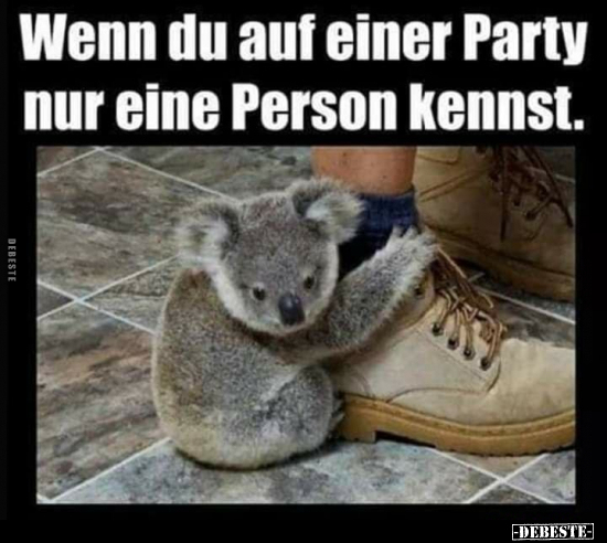 Wenn du auf einer Party nur eine Person kennst... - Lustige Bilder | DEBESTE.de