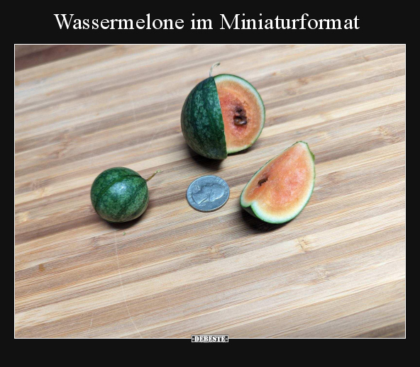 Wassermelone im Miniaturformat.. - Lustige Bilder | DEBESTE.de