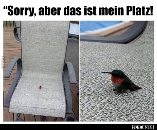 "Sorry, aber das ist mein Platz! - Lustige Bilder | DEBESTE.de