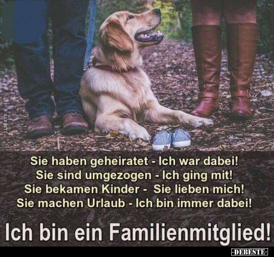 Ich bin ein Familienmitglied!.. - Lustige Bilder | DEBESTE.de