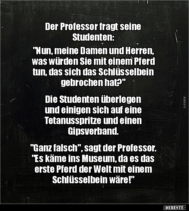Der Professor fragt seine Studenten:  "Nun, meine Damen.." - Lustige Bilder | DEBESTE.de