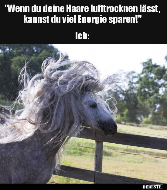 "Wenn du deine Haare lufttrocknen lässt, kannst du viel.." - Lustige Bilder | DEBESTE.de