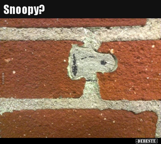 Snoopy?.. - Lustige Bilder | DEBESTE.de
