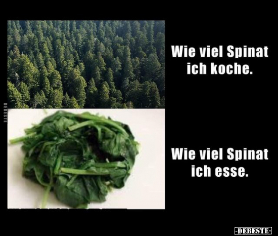 Wie viel Spinat ich koche.. - Lustige Bilder | DEBESTE.de