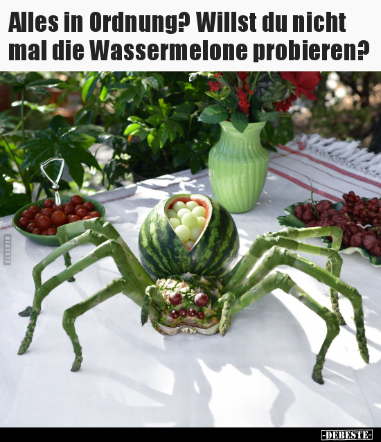 Alles in Ordnung? Willst du nicht mal die Wassermelone.. - Lustige Bilder | DEBESTE.de