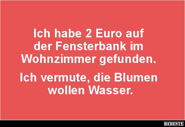 Ich habe 2 Euro auf der Fensterbank im Wohnzimmer gefunden.. - Lustige Bilder | DEBESTE.de