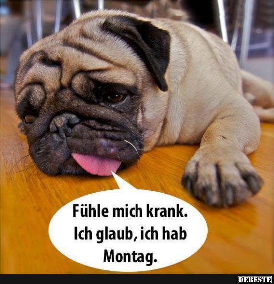 Fühl mich krank. Ich glaub ich hab Montag! - Lustige Bilder | DEBESTE.de