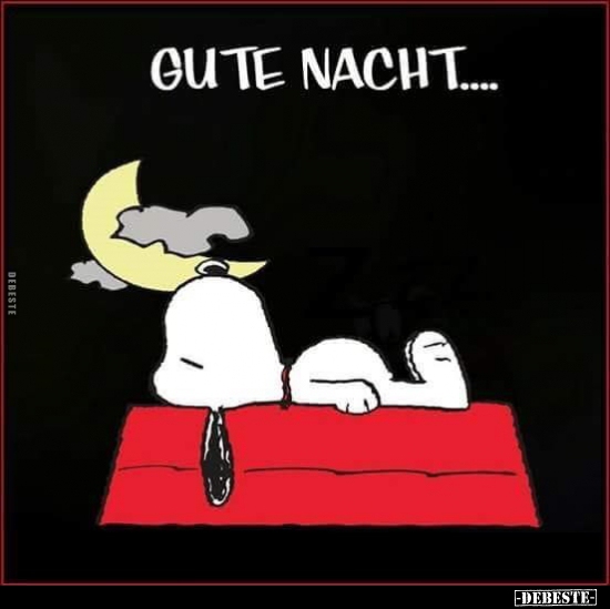 Gute Nacht... - Lustige Bilder | DEBESTE.de