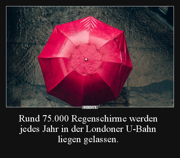 Rund 75.000 Regenschirme werden jedes Jahr in der.. - Lustige Bilder | DEBESTE.de