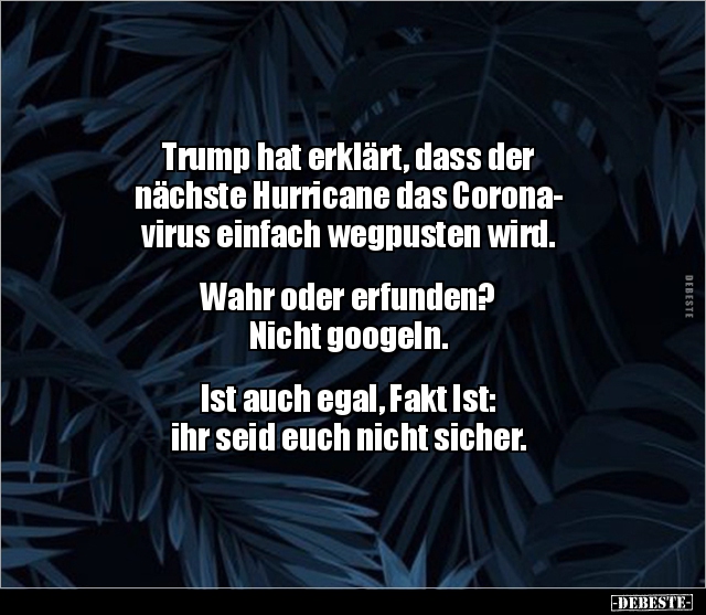 Trump hat erklärt, dass der nächste Hurricane das.. - Lustige Bilder | DEBESTE.de