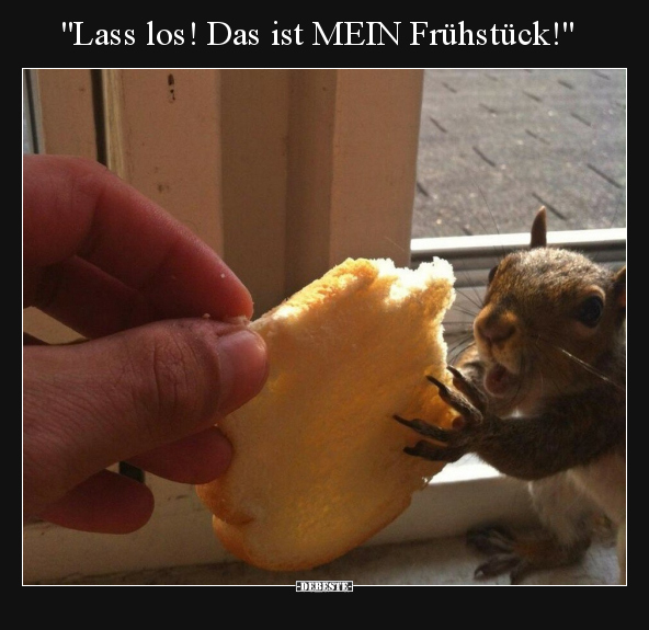 "Lass los! Das ist MEIN Frühstück!".. - Lustige Bilder | DEBESTE.de