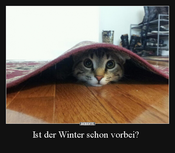 Ist der Winter schon vorbei?.. - Lustige Bilder | DEBESTE.de