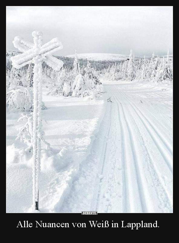 Alle Nuancen von Weiß in Lappland... - Lustige Bilder | DEBESTE.de
