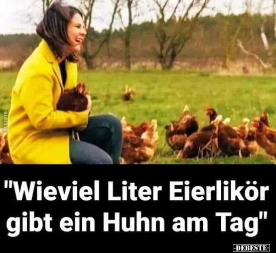 "Wieviel Liter Eierlikör gibt ein Huhn am Tag".. - Lustige Bilder | DEBESTE.de