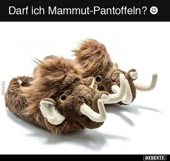 Darf ich Mammut-Pantoffeln? ☻.. - Lustige Bilder | DEBESTE.de