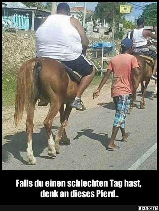 Falls du einen schlechten Tag hast, denk an dieses Pferd.. - Lustige Bilder | DEBESTE.de