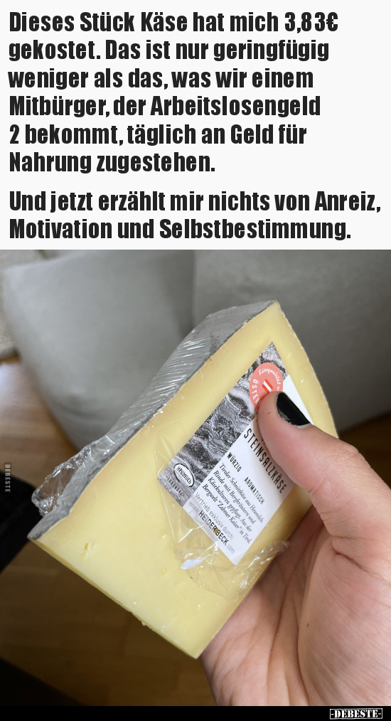 Dieses Stück Käse hat mich 3,83€ gekostet. Das ist nur.. - Lustige Bilder | DEBESTE.de