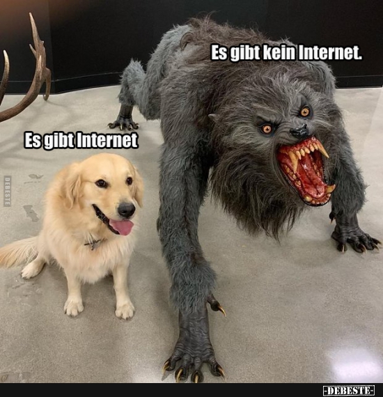 Es gibt Internet / Es gibt kein Internet. - Lustige Bilder | DEBESTE.de