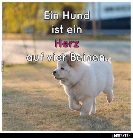Ein Hund ist ein Herz auf vier Beinen... - Lustige Bilder | DEBESTE.de