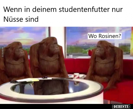 Wenn in deinem studentenfutter nur Nüsse sind.. - Lustige Bilder | DEBESTE.de