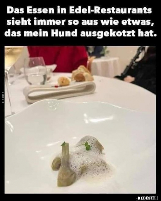 Das Essen in Edel-Restaurants sieht immer so aus wie etwas.. - Lustige Bilder | DEBESTE.de