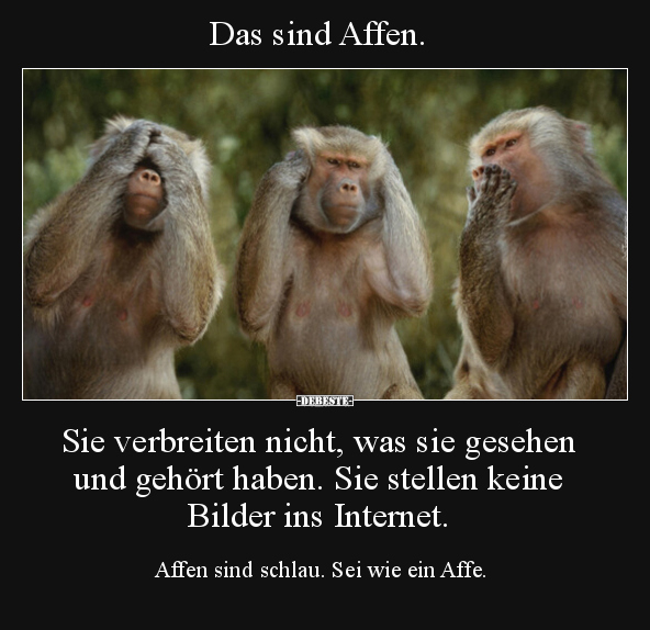 Das sind Affen. Sie verbreiten nicht, was sie gesehen und.. - Lustige Bilder | DEBESTE.de