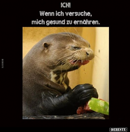 Ich! Wenn ich versuche, mich gesund zu ernähren... - Lustige Bilder | DEBESTE.de