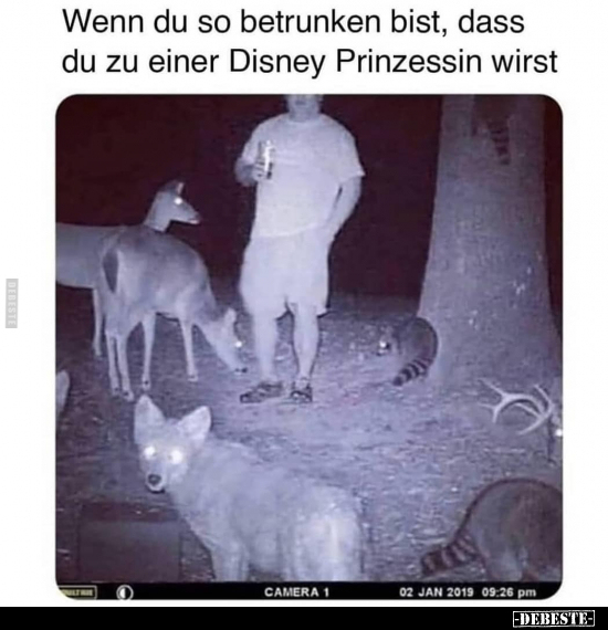Wenn du so betrunken bist, dass du zu einer Disney.. - Lustige Bilder | DEBESTE.de