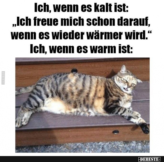 Ich, wenn es kalt ist: "Ich freue mich schon darauf.." - Lustige Bilder | DEBESTE.de