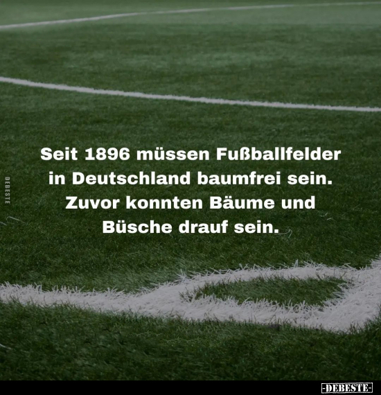 Seit 1896 müssen Fußballfelder in Deutschland.. - Lustige Bilder | DEBESTE.de