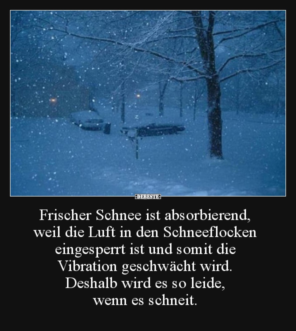 Frischer Schnee ist absorbierend, weil die Luft in den.. Lustige