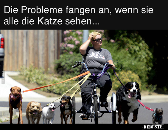Die Probleme fangen an, wenn sie alle die Katze.. - Lustige Bilder | DEBESTE.de