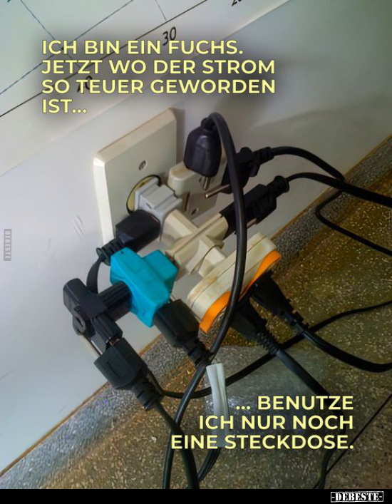 Ich bin ein Fuchs. Jetzt wo der Strom so teuer geworden.. - Lustige Bilder | DEBESTE.de