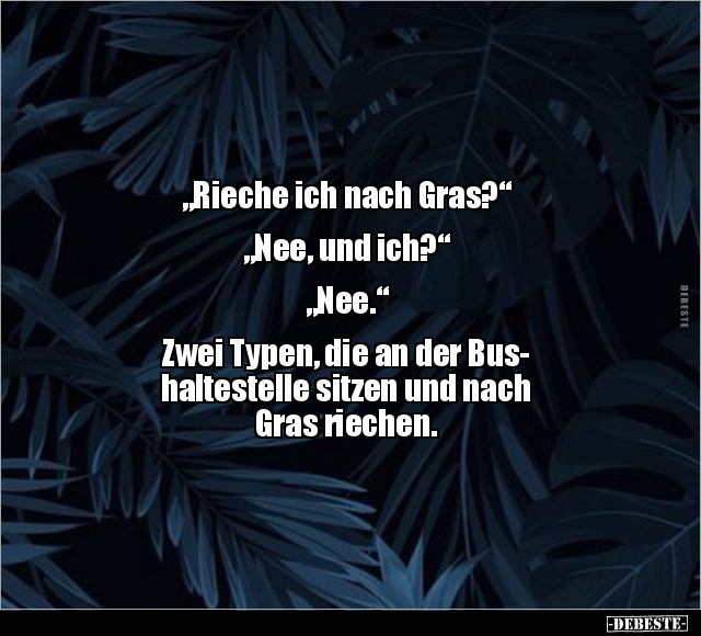 "Rieche ich nach Gras?"  "Nee, und ich?" „Nee...“ - Lustige Bilder | DEBESTE.de