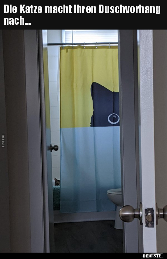 Die Katze macht ihren Duschvorhang nach... - Lustige Bilder | DEBESTE.de