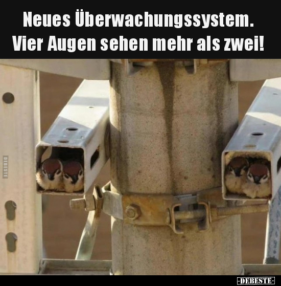 Neues Überwachungssystem. Vier Augen sehen mehr als.. - Lustige Bilder | DEBESTE.de