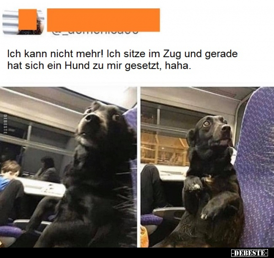 Ich kann nicht mehr! Ich sitze im Zug und gerade hat sich.. - Lustige Bilder | DEBESTE.de