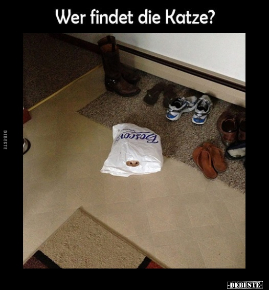 Wer findet die Katze?.. - Lustige Bilder | DEBESTE.de