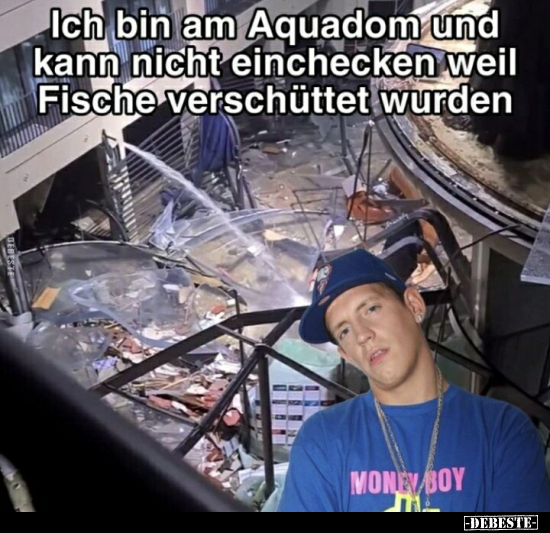 Ich bin am Aquadom und kann nicht einchecken, weil Fische.. - Lustige Bilder | DEBESTE.de