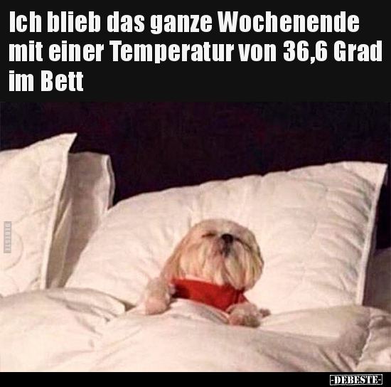 Ich blieb das ganze Wochenende mit einer Temperatur von.. - Lustige Bilder | DEBESTE.de