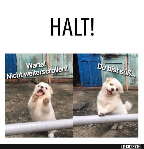 Halt DEBESTE De