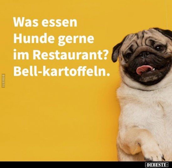 Was essen Hunde gerne im Restaurant?.. - Lustige Bilder | DEBESTE.de