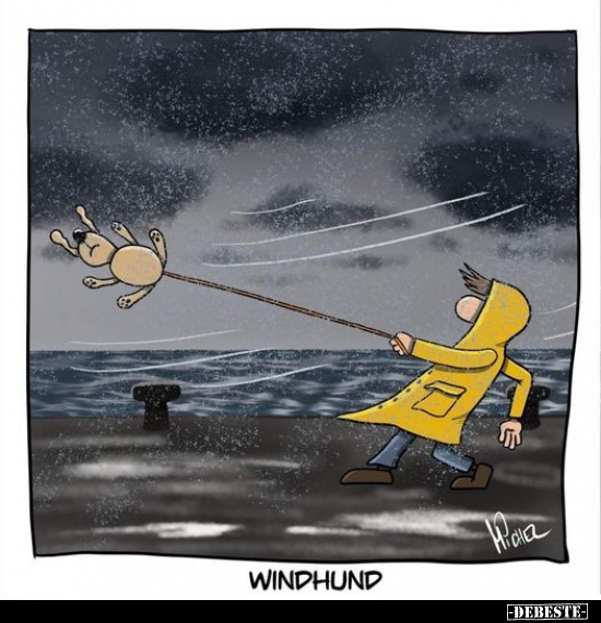 Windhund... - Lustige Bilder | DEBESTE.de