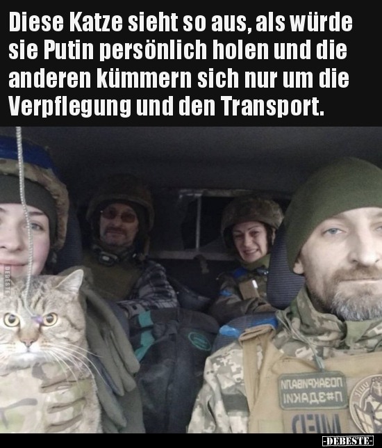 Diese Katze sieht so aus, als würde sie Putin persönlich.. - Lustige Bilder | DEBESTE.de